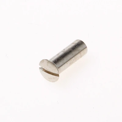 Afbeelding van AMI patenthuls (10 st) messing vernikkeld M6x21 mm met zaagsnede 900242