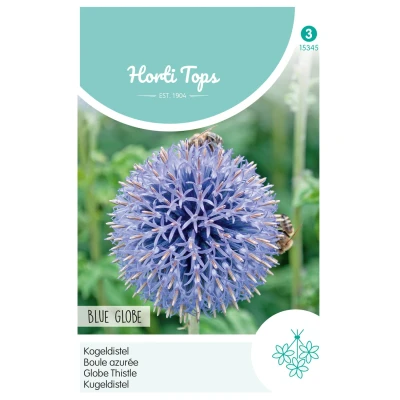 Afbeelding van Echinops ritro Kogeldistel Buzzy
