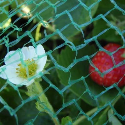Afbeelding van Tuinnet Plena Groen 8 x m