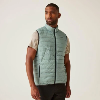 Afbeelding van Regatta Bodywarmers HillPackB/WII