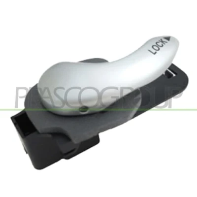 Afbeelding van PRASCO FT9088418 Deurgrepen Binnen, Links voor Zilver FIAT: Doblo I Estate, Cargo