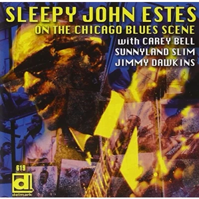 Afbeelding van Sleepy John Estes On The Chicago Scene (CD)