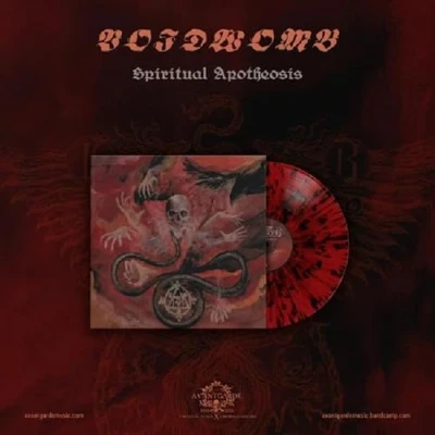 Afbeelding van Voidwomb Spiritual Apotheosis (VINYL LP)