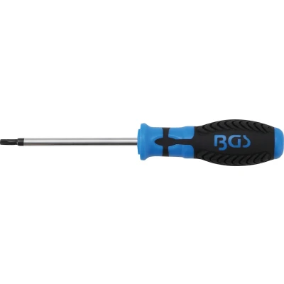 Afbeelding van BGS Schroevendraaier Torx T25 x 100 mm
