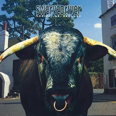 Afbeelding van Swervedriver Mezcal Head