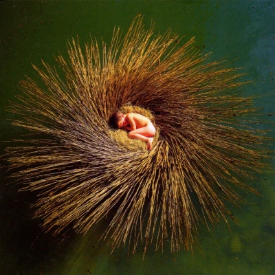 Afbeelding van Peter Gabriel Ovo (CD)