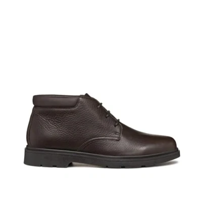 Afbeelding van GEOX U SPHERICA Bruin 42 EU