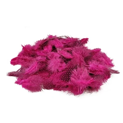 Afbeelding van Netuno 150 stuks rozenblaadjes 6 g parelkranenveren, puntveren, vogelveren, knutselveren, natuurlijke veren, om te knutselen, decoratie, Pasen, Kerstmis, decoratiefiguur