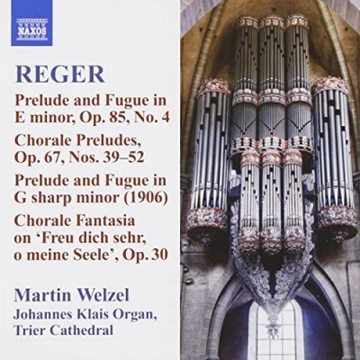 Afbeelding van Martin Welzel Organ Works Volume 10 (CD)