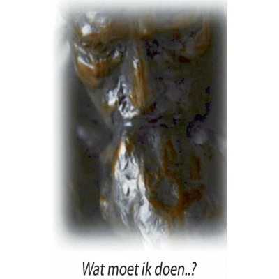 Afbeelding van Wat moet ik doen