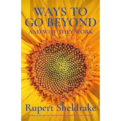 Afbeelding van Ways to Go Beyond and Why They Work Seven Spiritual Practices in a Scientific Age