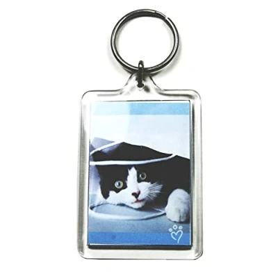 Afbeelding van PC3721 @ Grote transparante fotosleutelhanger 50 x 35 mm Model 92033