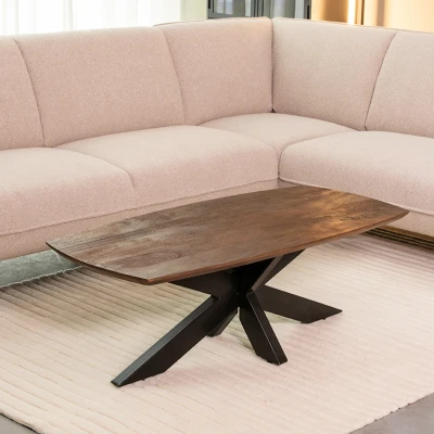 Afbeelding van Zane salontafel 120x56x40 cm espressso mangohout