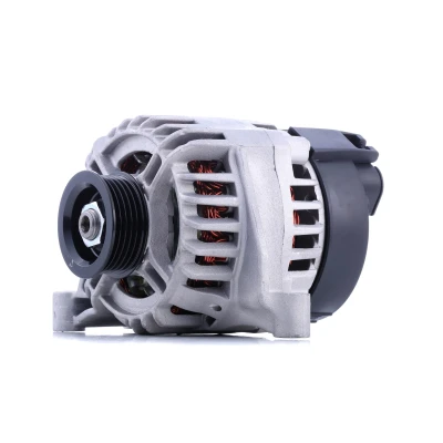 Afbeelding van Dynamo / Alternator ELSTOCK 28 4917