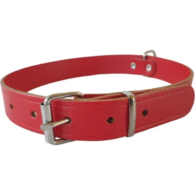 Afbeelding van Beeztees BZ LEREN HALSBAND ROOD 62X25 (Hond, Algemeen), Kraag + Leiband