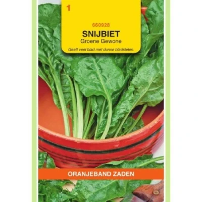 Afbeelding van Snijbiet Groene Gewone