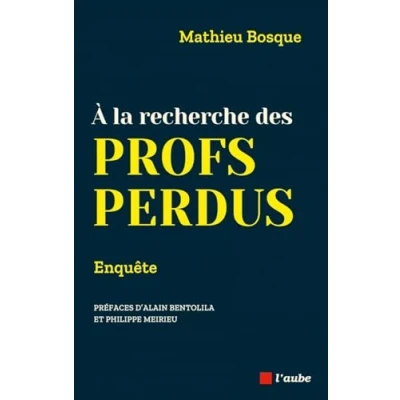 Afbeelding van ENQUETE A LA RECHERCHE DES PROFS PERDUS