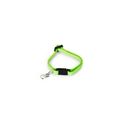 Afbeelding van Beeztees Kittenhalsband Nylon Fel Groen 16 23 cm