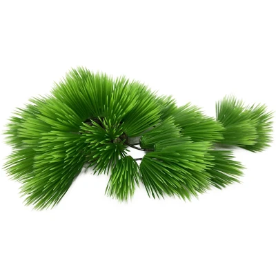Afbeelding van Aqua Della Aquariumplanten (voeding) Vissen Eleocharis 22cm Groen 1st
