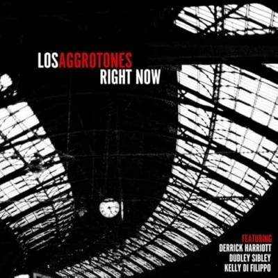 Afbeelding van Los Aggrotones Right Now (CD)