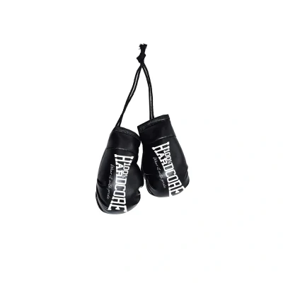 Afbeelding van 100% Hardcore Mini Bokshandschoenen Set