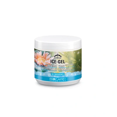 Image de Veredus Ice Gel Arnica Montana Griffe du Diable Menthol 500ml