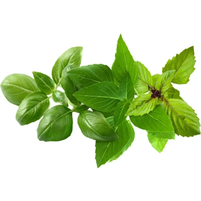 Afbeelding van Click &amp; Grow refill Basil Variety Mix