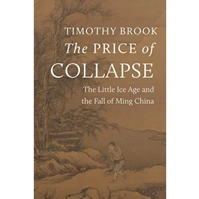 Afbeelding van The Price of Collapse