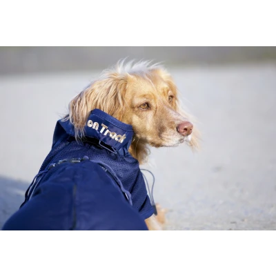 Image de Back on Track Mesh Dog Rug