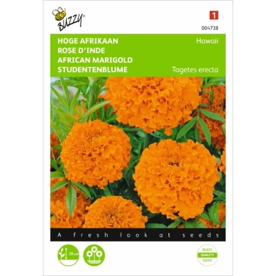 Afbeelding van Tagetes Erecta Hawaii Fl.Pl. Oranje Hortitops