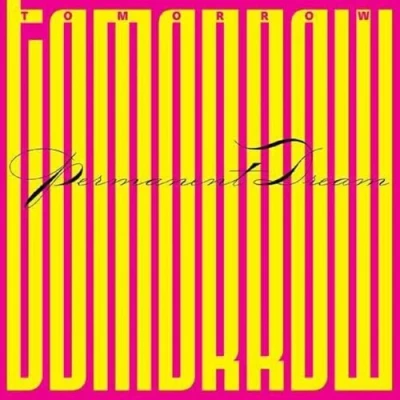 Afbeelding van Tomorrow Permanent Dream (LP)
