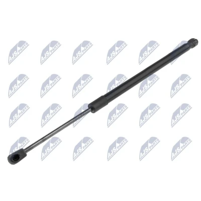 Afbeelding van NTY AE HY 038 Gasveer achterklep 610 478