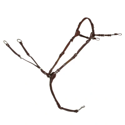 Image de Schockemöhle Collier de Chasse Sevilla Select Royal/Oak/Cream/Argent Full