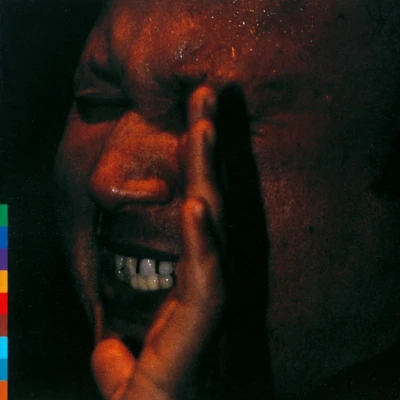 Afbeelding van Nusrat Fateh Ali Khan Shahbaaz (CD)