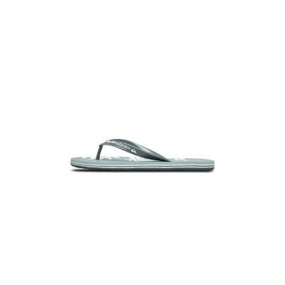 Afbeelding van Quiksilver Molokai Screen Teensandalen, Heren, Maat: 45, Ltg Kunststof