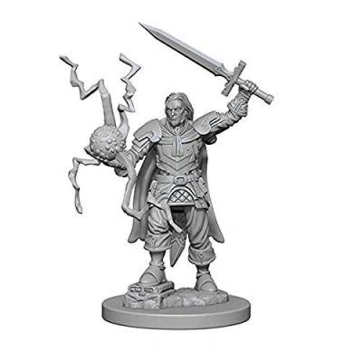 Afbeelding van Pathfinder: Deep Cuts Unpainted Miniatures: Human Mannelijke Cleric