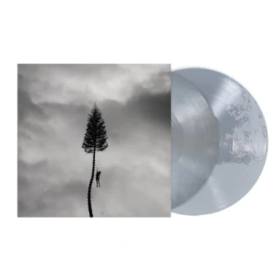 Afbeelding van Manchester Orchestra A Black Mile To the Surface (2 LPs)