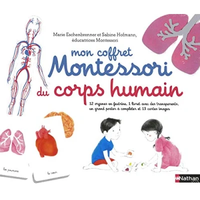 Afbeelding van Mon coffret montessori du corps humain