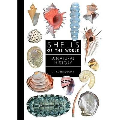 Afbeelding van A Guide to Every Family Shells of the World