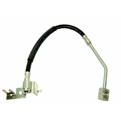 Afbeelding van DELPHI LH6344 Remslang 310 3/8&quot;x24 UNF DF