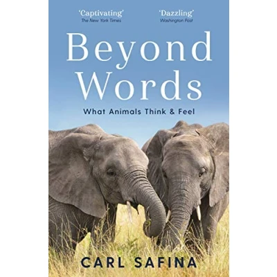 Afbeelding van Beyond Words