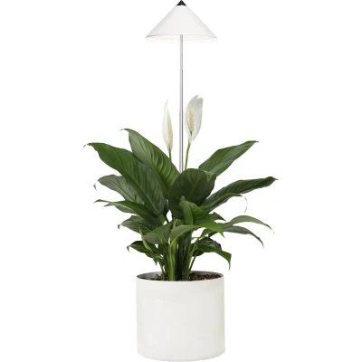 Afbeelding van Parus by Venso Sunlite Kweeklamp 7 W Wit