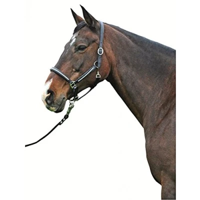 Afbeelding van HKM Lederen Halster Diamond Zwart Cob