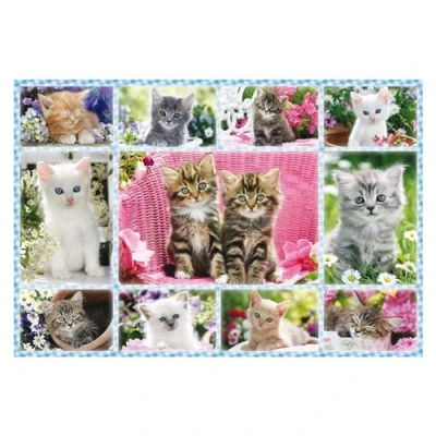 Image de Puzzle Schmidt Chaton, 100 pièces