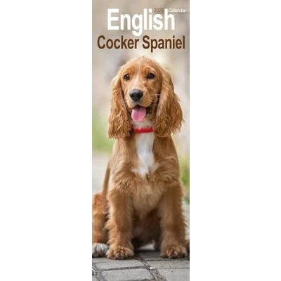 Afbeelding van Engelse Cocker Spaniel Kalender 2025 Slimline