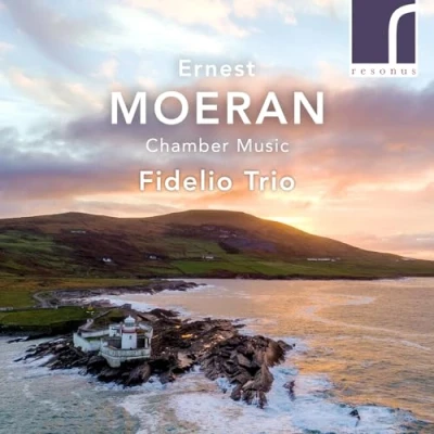 Afbeelding van Fidelio Trio Darragh Morgan Tim Gil Moeran Chamber Music (CD)