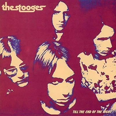 Afbeelding van The Stooges Till End Of Night (LP)