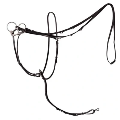 Image de BR Enrênement Thiedemann Rênes Lancaster M/Martingale Noir/Argent Full