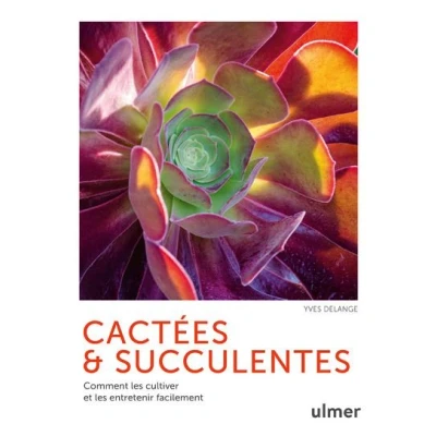 Image de Cactées et succulentes Comment les cultiver entretenir facilement