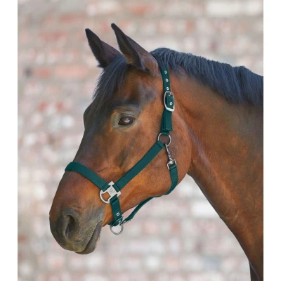 Afbeelding van Waldhausen Halster Gloomy Fir Green Cob